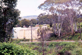 Hop fields and oast house near Rosegarland