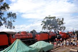 Centenary train stops at Westbury