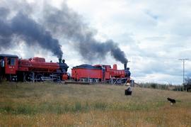 Farmer and sheepdog watch passing train