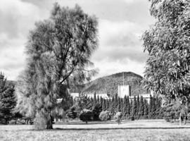 Lawn and clock tower