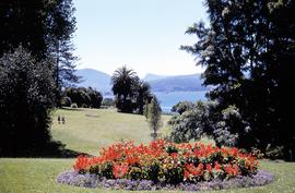 Flower bed at botanical gardens