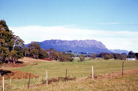 Mount Roland as viewed from paddocks near Sheffield