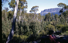 Walkers rest in bush below Mount Olympus