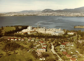 Aerial photograph of Cadbury Factory and surrounds