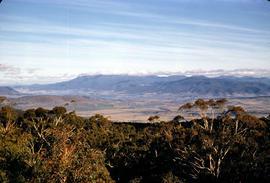 Chauncy Vale tarn