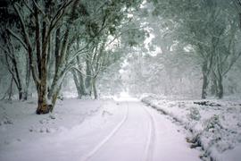 Tyre tracks in snow on Marlborough Highway