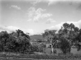 Looking across to Mount Wellington