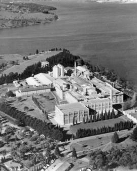 Aerial shot of Cadbury Factory