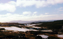 Plateau above Cradle Mountain