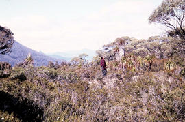 View of mountain ranges west of Mt. Lord