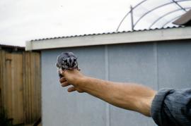 Sugar glider on man’s outstretched arm