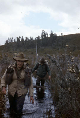 Flooded track near Sandfly Creek