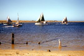 Wynyard Regatta 1957