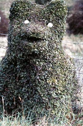 Topiary bear beside highway