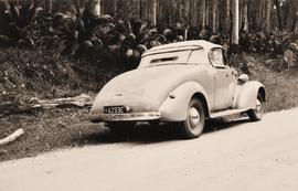 Motor vehicle parked on road through bushland