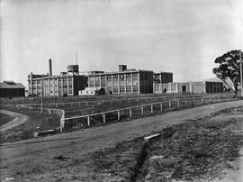 Three-storey buildings, Cadbury factory