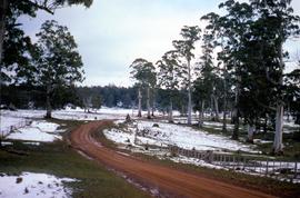 Snow in Victoria Valley