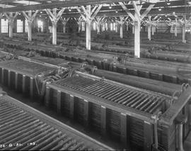 Cell room in the 100-ton plant