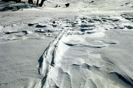 Snow at Jaffa Vale