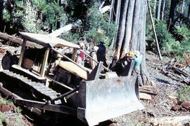 Caterpillar bulldozer in Florentine Valley