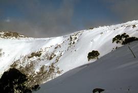 Golden Stairs ski run at Mount Mawson