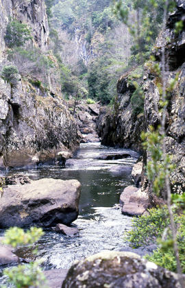 Portrait format photograph of Leven Canyon