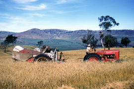 Farmer harvests grain at Glen Dhu