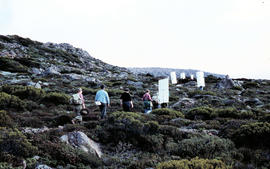 Walkers carrying roofing iron to K Col