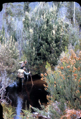 Two bushwalkers testing the waters