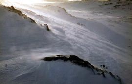 Wind blows snow at Ben Lomond