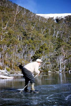 Shrub frozen at Mount Field West