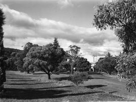 Approaching Cadbury Factory