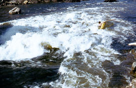 Kayaker below Repulse Dam