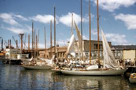 Sailing boats moored at Constitution Dock