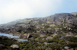 Walkers on Mountains of Jupiter