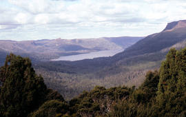 View of Lake St Clair from Mount Manfred