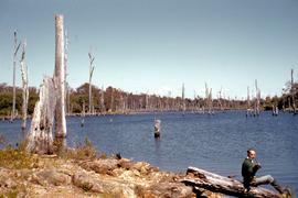 Man fishing near Waratah 1960