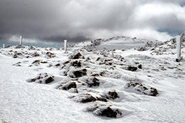 Summit of Ben Lomond 1962