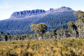 Foothills of Mount Olympus