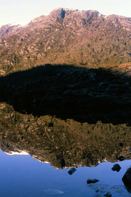 Cradle Plateau from Dove Lake