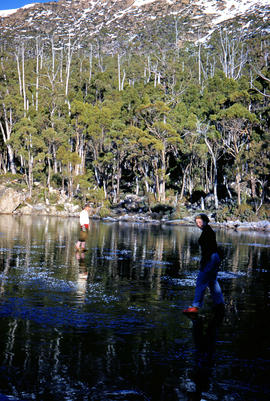 Surface of Lake Dobson