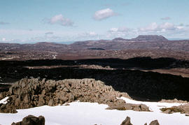 Ben Lomond plateau