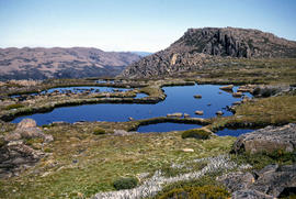 Mount Field West plateau