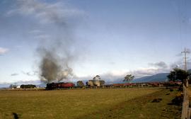 Goods train steams past Hagley