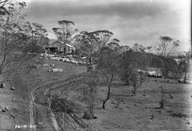 Sawmill on site at Risdon