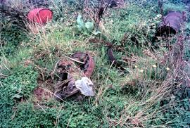 Remains of Cameron steam pump