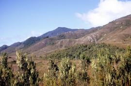 View of hills around Crotty 1970