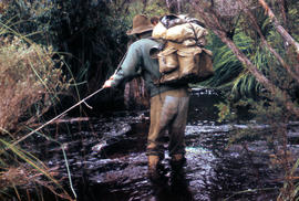 Walkers fording Sandfly Creek