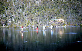 Loading firewood at Lake Dobson