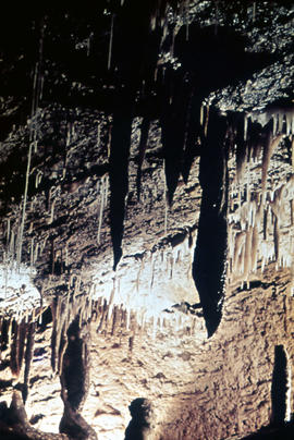 Gunns Plains Cave